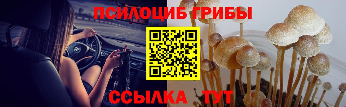 Псилоцибиновые грибы Psilocybine cubensis  Вход с VPN  как найти закладки  Кореновск 